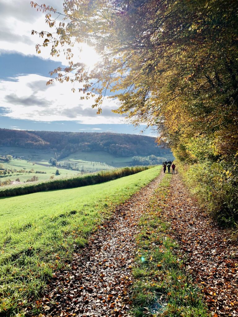 Read more about the article Herbstwanderung