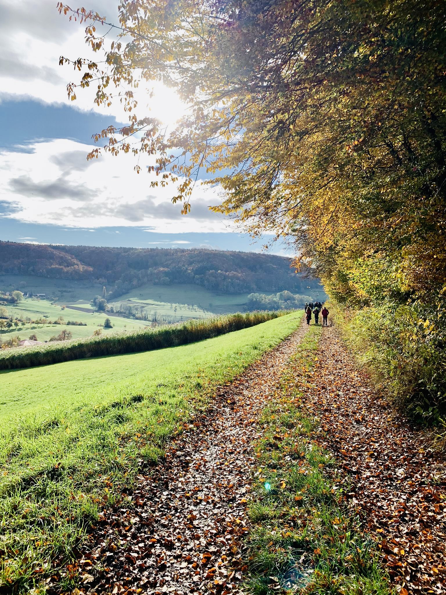 You are currently viewing Herbstwanderung