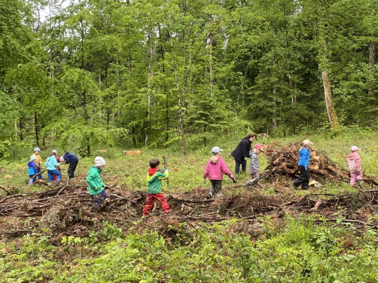 Read more about the article Waldputze 2025