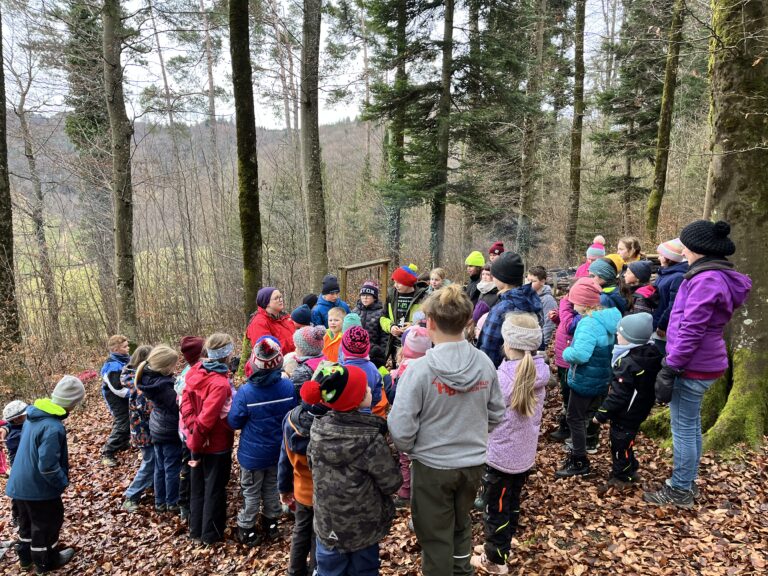 Read more about the article Waldweihnacht 2025